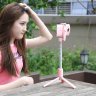 Монопод-трипод для селфи Hoco K11 Wireless Tripod Selfie Stand беспроводной (Bluetooth)