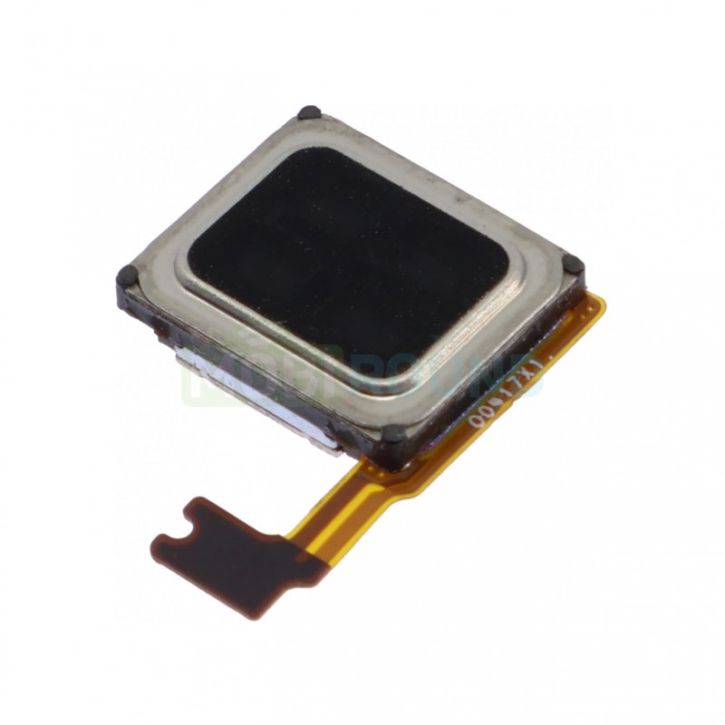 Динамик (Speaker) для OnePlus Nord CE 3 Lite 5G