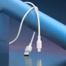 Дата-кабель Borofone BX113 USB-Type-C (3 А), 1 м