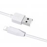 Дата-кабель Hoco X1 USB-Lightning (комплект 2 шт.) (2.1 А), 1 м