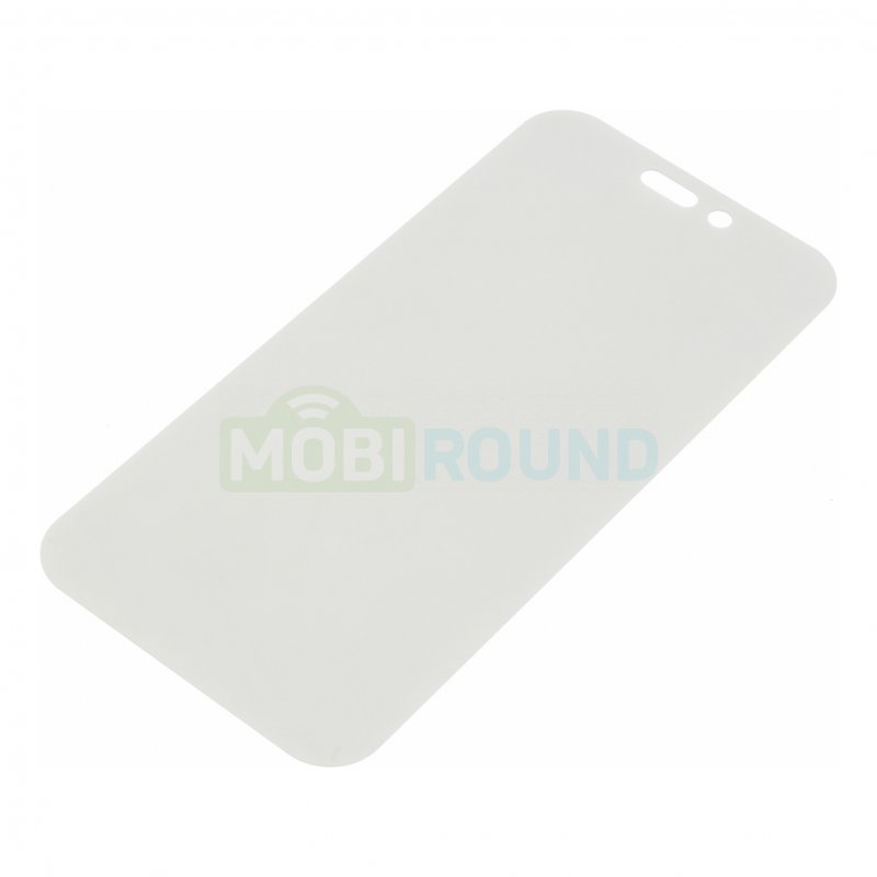 Поляризационная пленка для Apple iPhone 14 Pro (угол поляризации 0°)