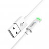 Дата-кабель Hoco X43 USB-Lightning, 1 м